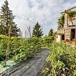 Nonna Gina Apartament *